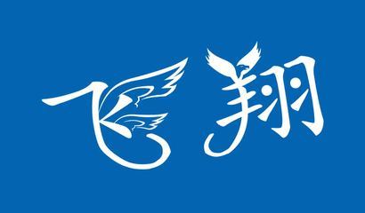 與風(fēng)飛翔