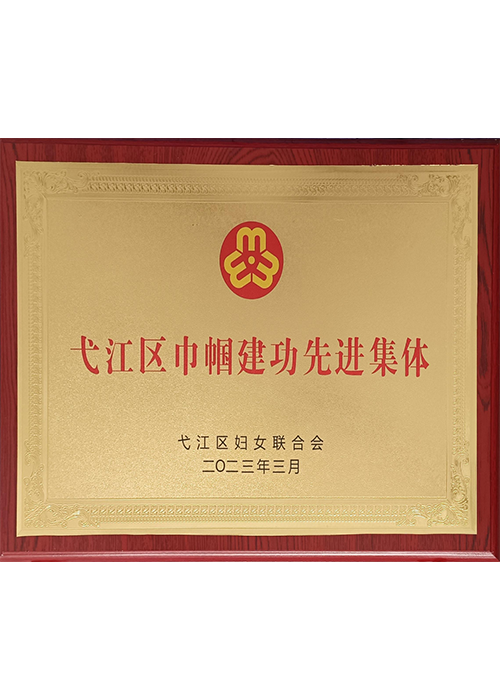 弋江區(qū)巾幗建功先進(jìn)集體