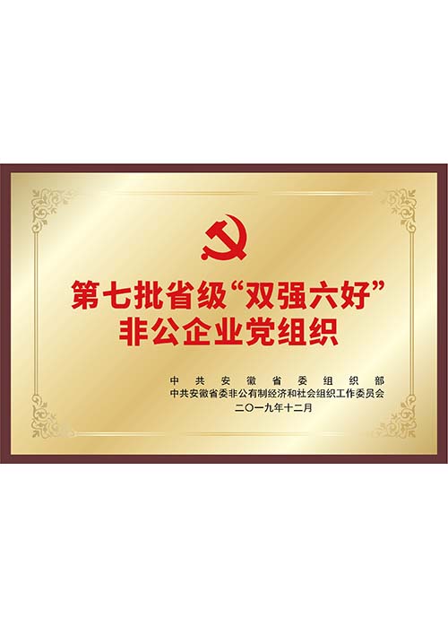 安徽省級雙強六好