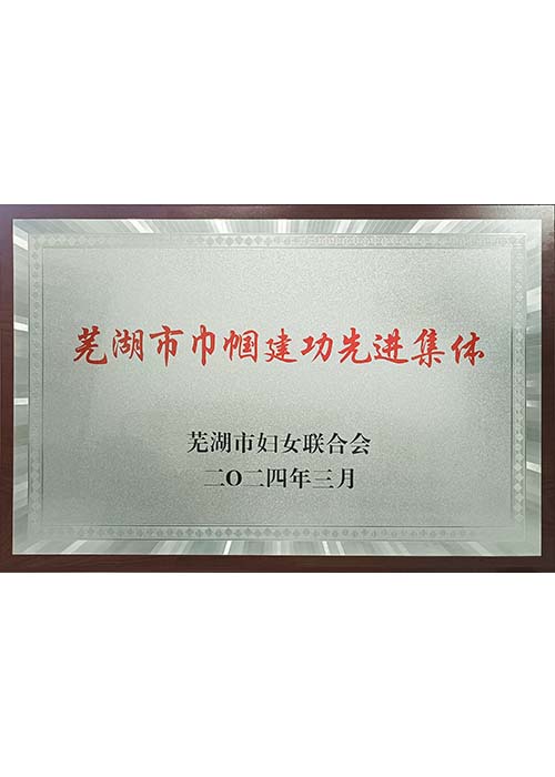 蕪湖市巾幗建功先進(jìn)集體