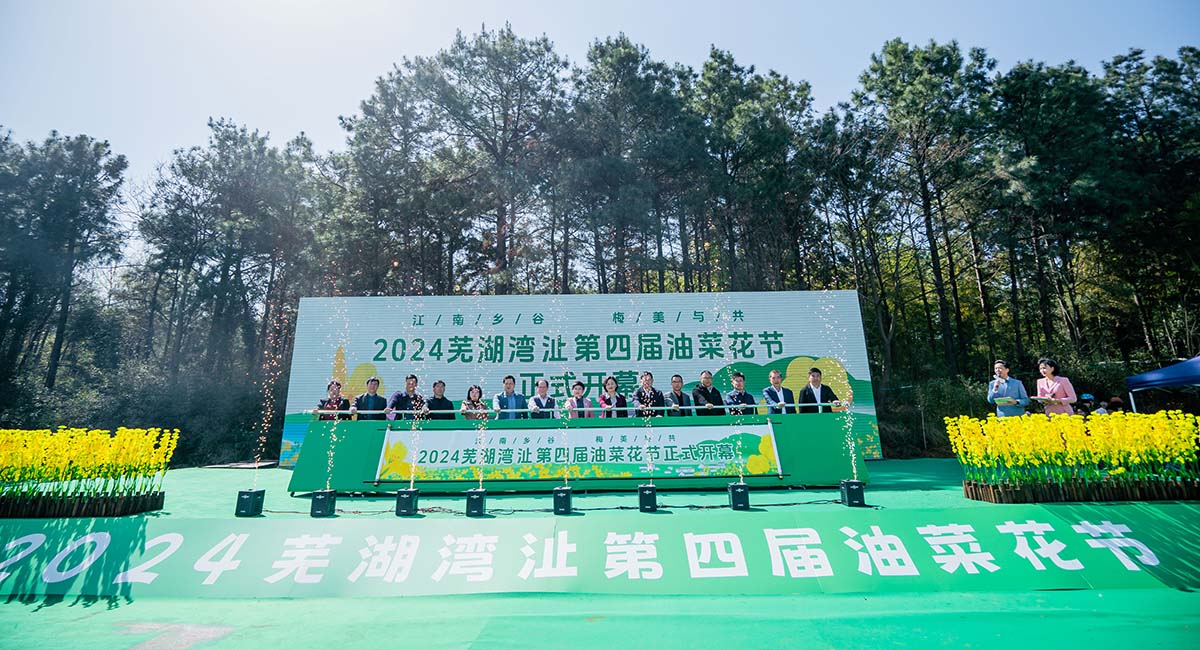 2024蕪湖灣沚第四屆油菜花節(jié)